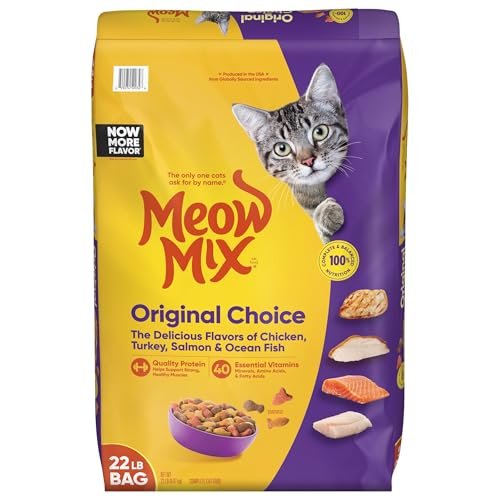 Best Cat Food for Strays
