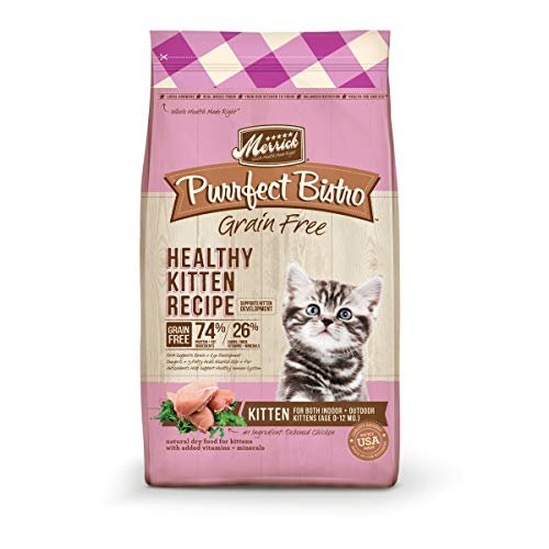 Best Cat Food for Young Cats