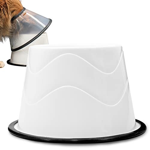 Best Food Bowl for Cat With Cone