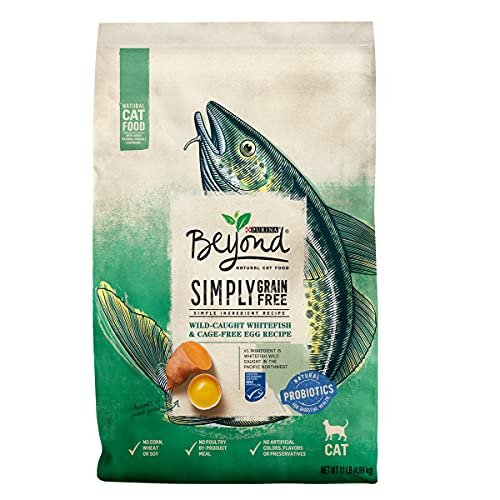 Best Food for Cat With Rodent Ulcers