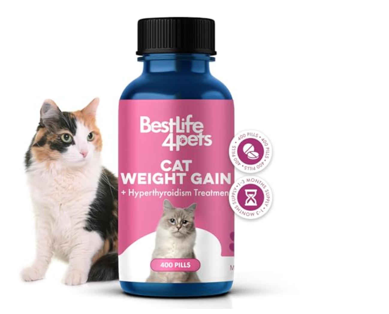 Best Food for Cat With Hyperthyroidism
