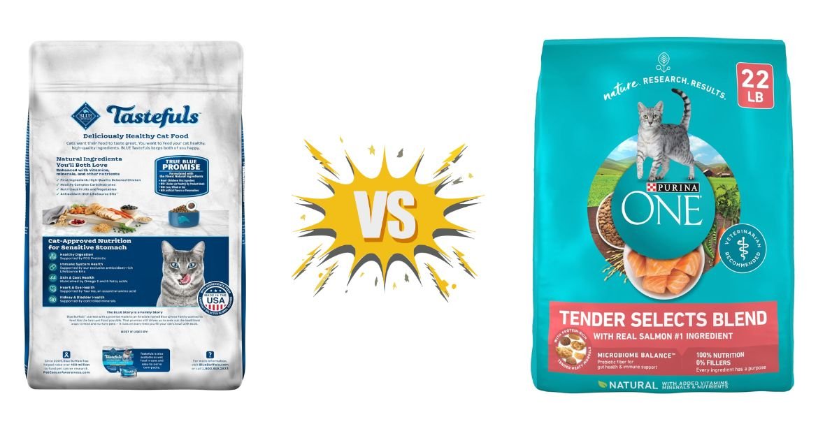 Blue Buffalo Cat Food vs Purina One