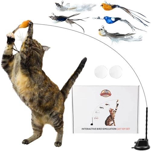 Is Cat Food Ok for Dogs