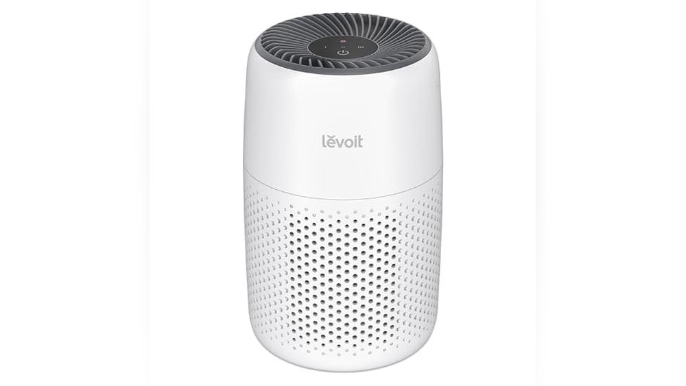 Best Air Purifier for Cat Litter Dust