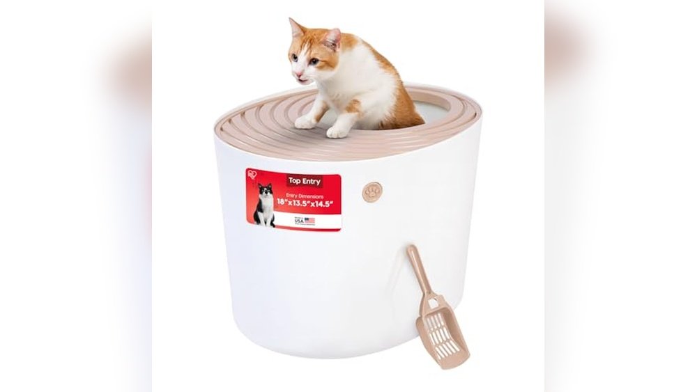 Best Cat Litter Box for Small Apartment