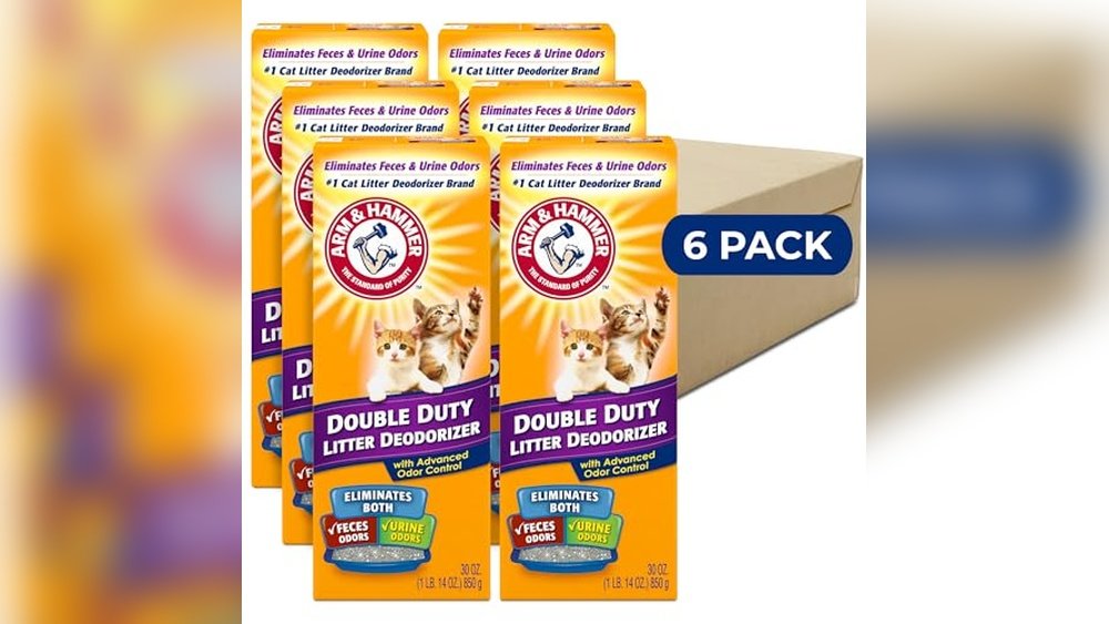 Best Cat Litter for Ammonia Smell