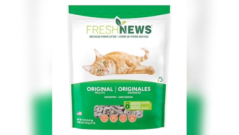Best Cat Litter for Ferrets