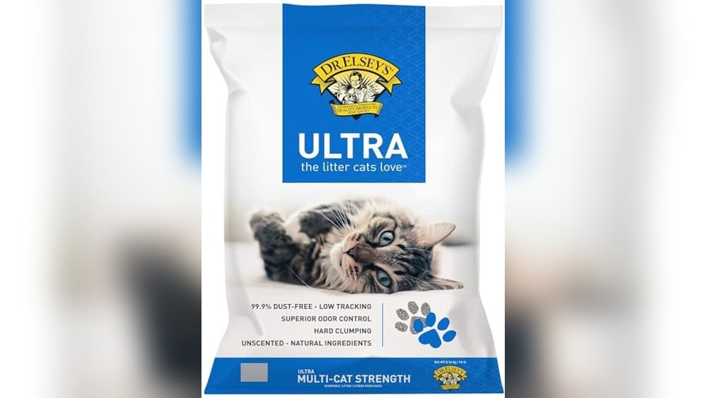 Best Cat Litter for Senior Cats