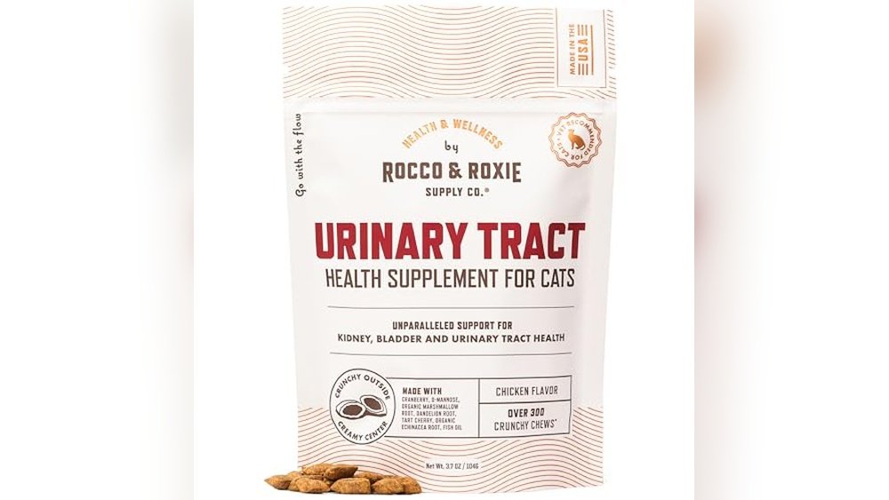 Best Cat Litter for Uti
