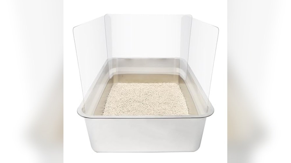 Best Litter Box for Cats Who Pee Outside Box