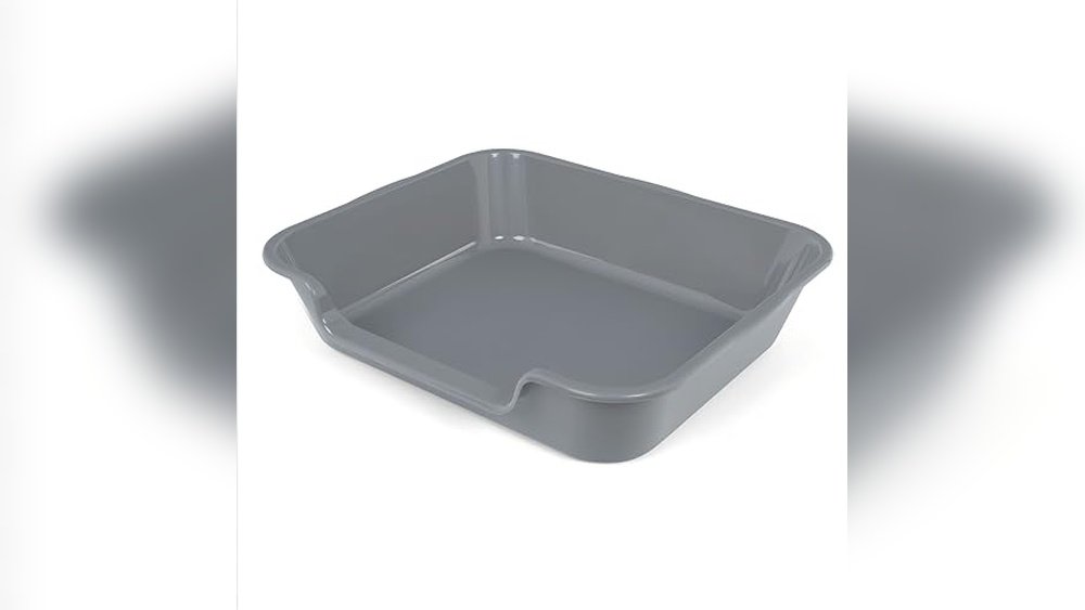 Best Litter Box for Senior Cats