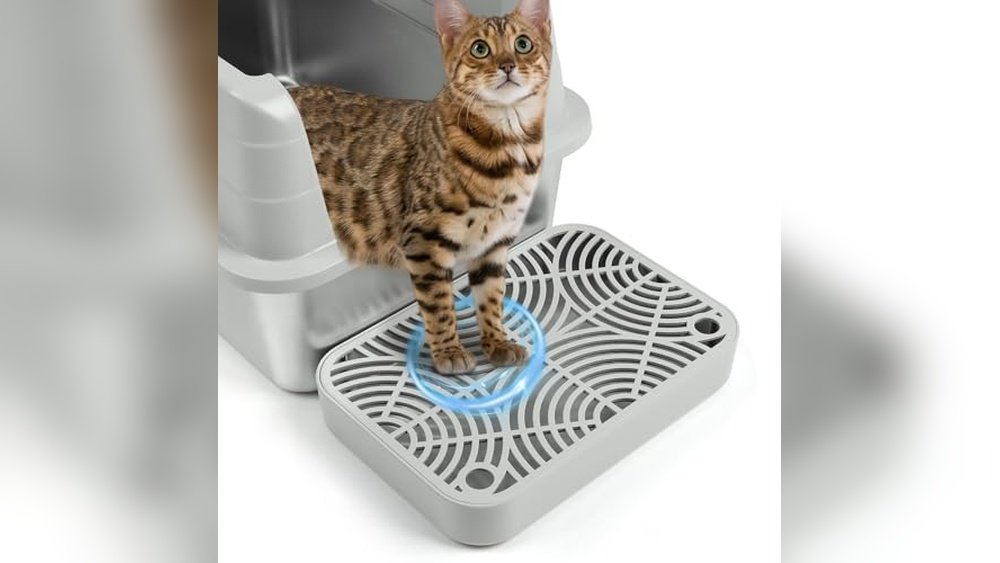 Best Litter for Cats With Pillow Foot