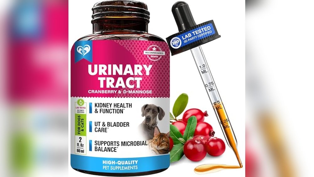 Best Litter for Cats With Uti