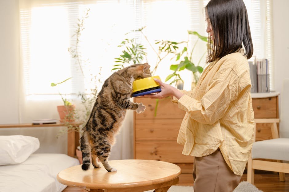 is cat food bad for dogs to eat