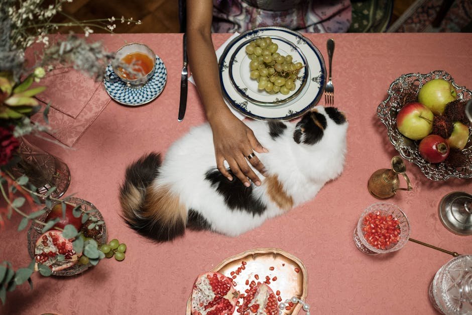 is cat food safe for humans
