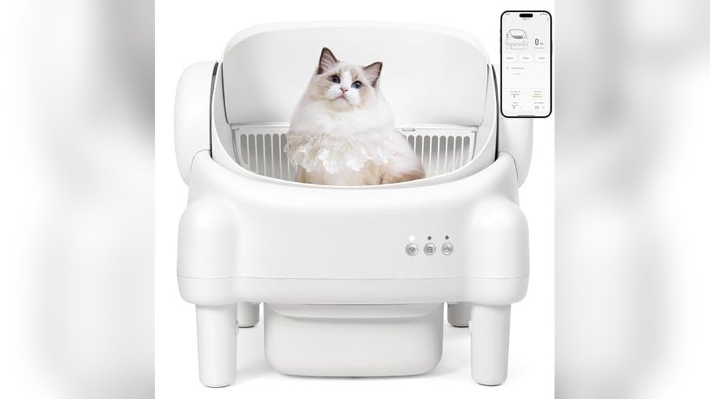 What is the Best Cat Litter Box for Multiple Cats