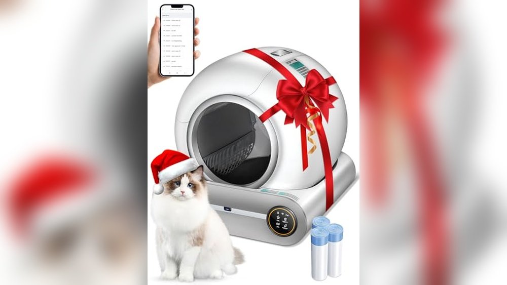 What is the Best Litter Box for Multiple Cats