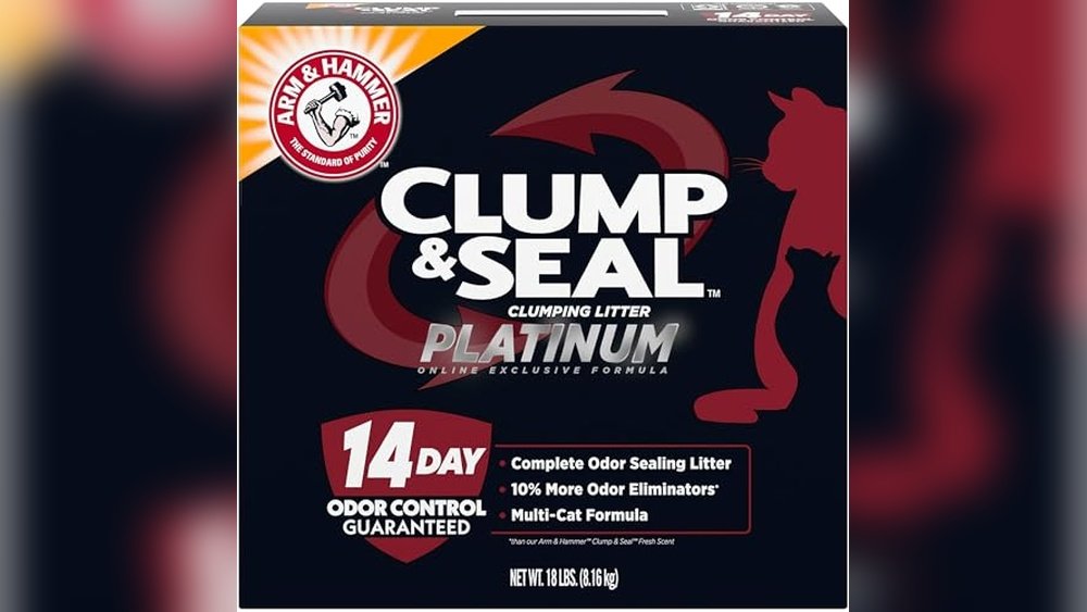 What'S the Best Cat Litter for Odor Control