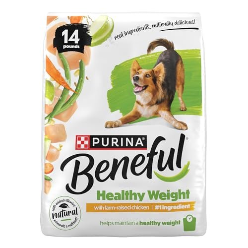 best dog food for dogs to gain weight