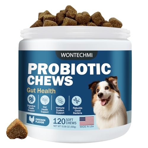 best dog food for itchy dogs