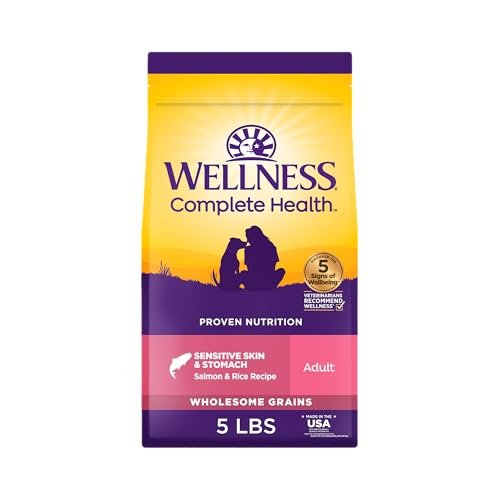 best dog food for sensitive skin and stomach