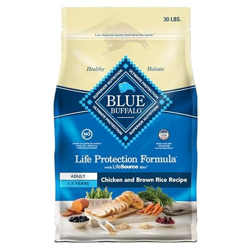 best dog foods for small dogs
