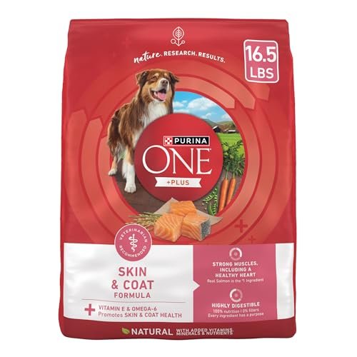best dry dog food for dogs with allergies