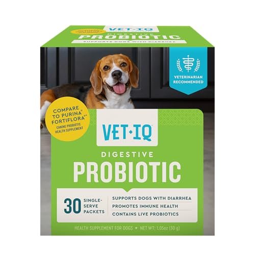 best food for dogs with diarrhea