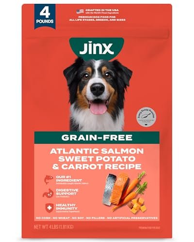 best food for itchy dog