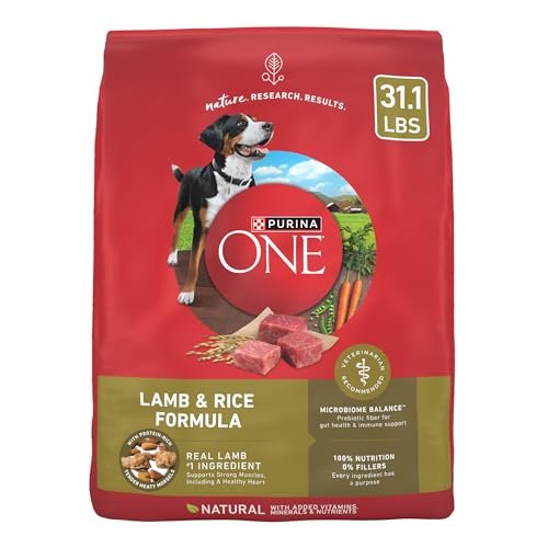 best food for large breed dogs