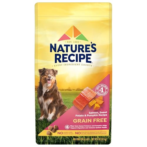 best food for large dogs