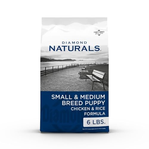 best food for nursing dog