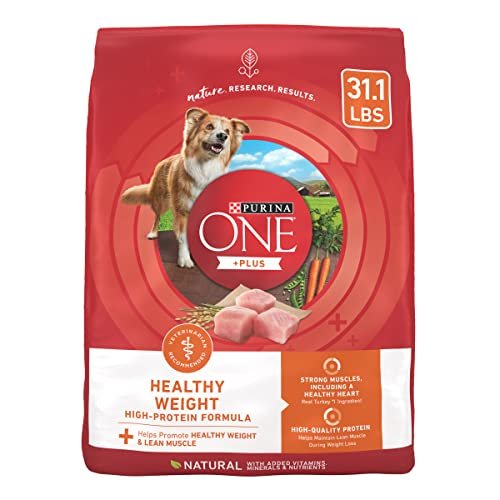 best food for overweight dogs