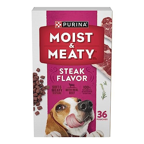 best soft dog food for older dogs