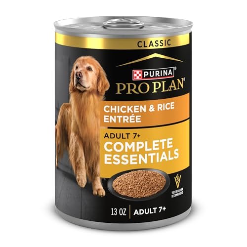 best soft food for senior dogs