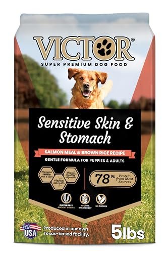what is the best dog food for sensitive stomach