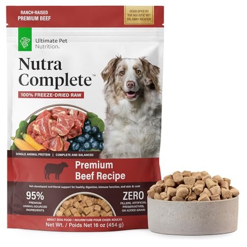 best dog food for nursing dogs